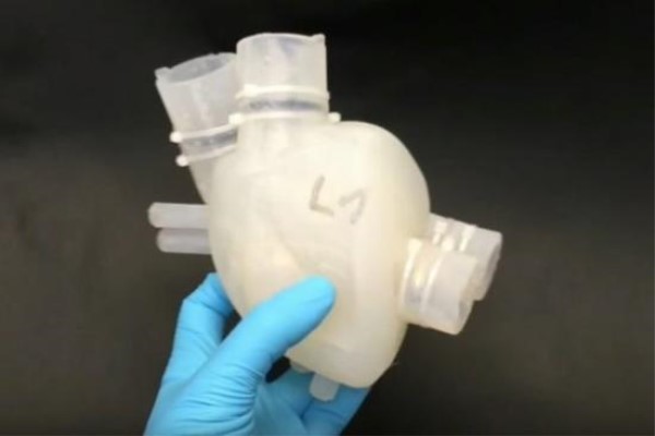世界首个3D打印软体心脏，能跳半小时