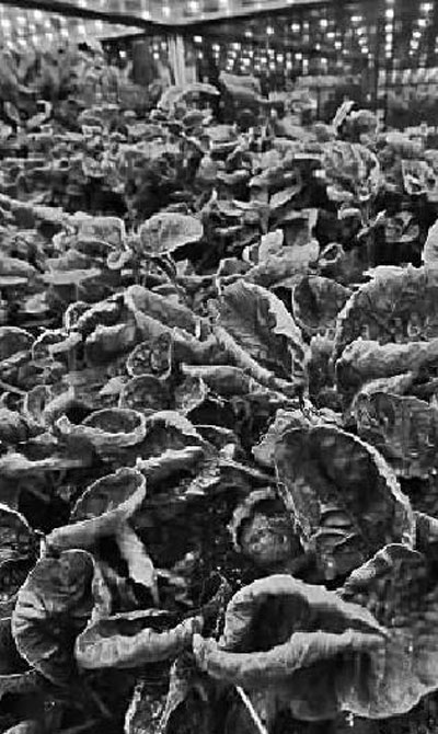 “太空180”试验成功:我们离地外星球基地还远吗